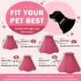 Fabric Velcro Elizabeth Pet Cone for dog Image 4