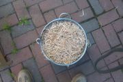 Beech  Smoking Shavings