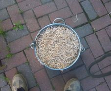 Beech  Smoking Shavings