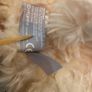 kids backpack little lab sheep new Image 6