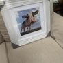 Framed Cow Picture Image 2