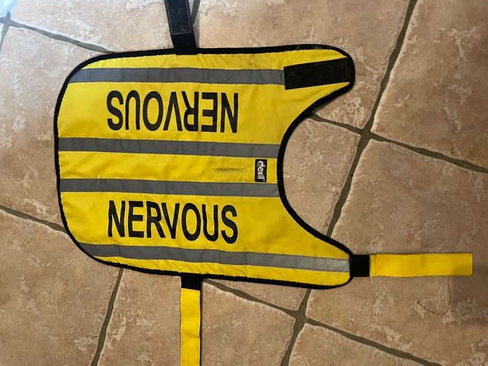 Dexil Nervous Dog Coat
