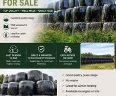 Silage Bales