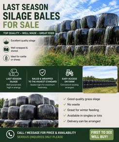 Silage Bales