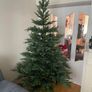 Christmas Tree Image 3