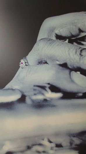 Canvas picture