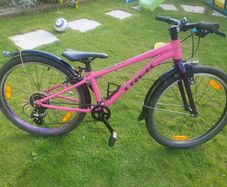 Trek Wahoo 24 inch