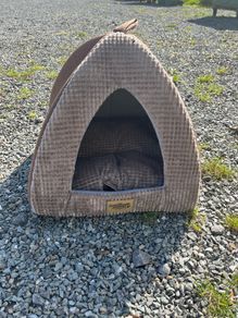 cat bed