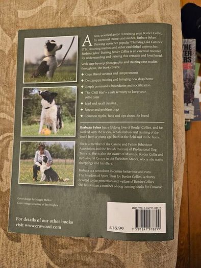 Training Border Collies. By Barbara Sykes's Large Volume Paperback In Good Condition.  See Photos For Same.