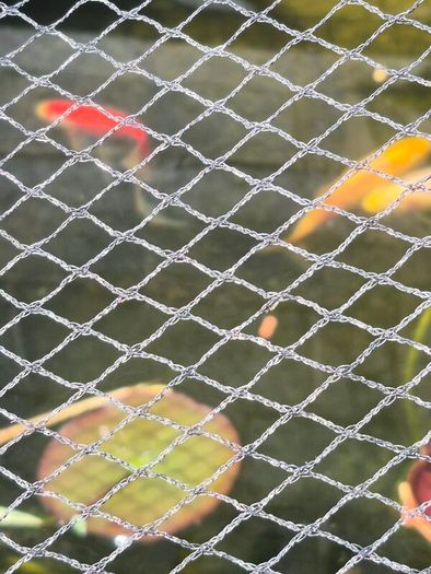 pond