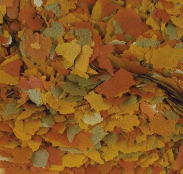 Tropical Goldfish Color Flakes 250ml