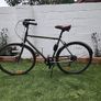 Electra Bike Loft 7D  (Large and Khaki Green) Image 3