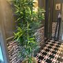 Artificial bamboo plant Image 2
