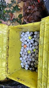 golf balls