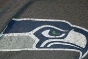 Seattle Seahawks vintage tee shirt size medium