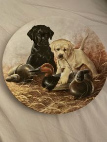 Labrador puppy plate