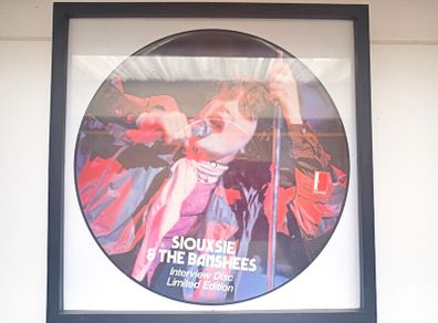 Framed  Siouxsie Interview Pic Disc