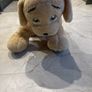 Large Fluffy Dog Image 3