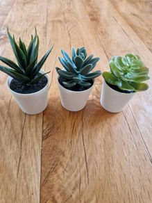 Ikea Mini Succulent Desk Plants