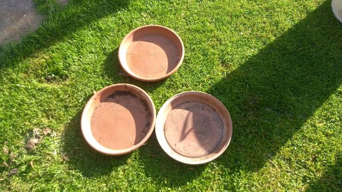 Large plastic plant saucers