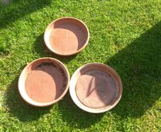Large plastic plant saucers