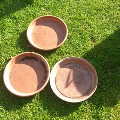 Large plastic plant saucers