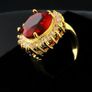 Ring Image 2