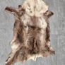 Rug Image 2