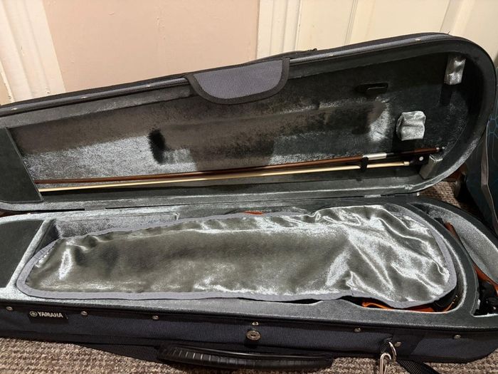 Violin