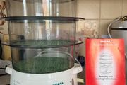 Steamer