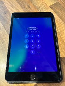 iPad Mini 5 (256GB)