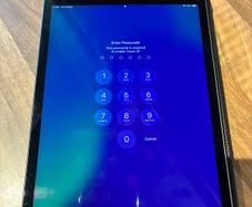 iPad Mini 5 (256GB)