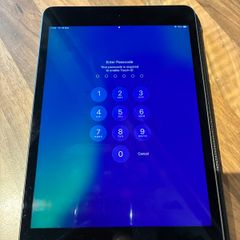 iPad Mini 5 (256GB)