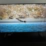 LG 55" 4K UHD Smart TV Excellent Condition Image 3