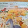 See Inside The World Of Dinosaurs An Usborne Flap Book Image 4