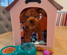 Our generation dog house and accessories