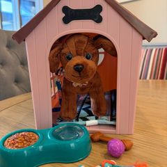 Our generation dog house and accessories