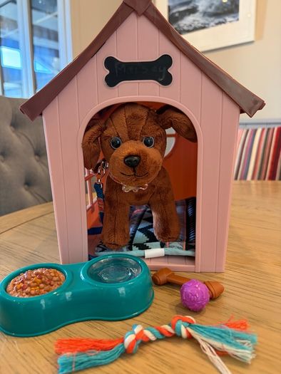 Our generation dog house and accessories