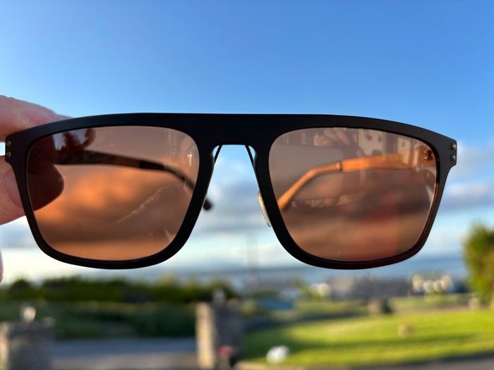 Serengeti Ferrara 7894 Sunglasses.