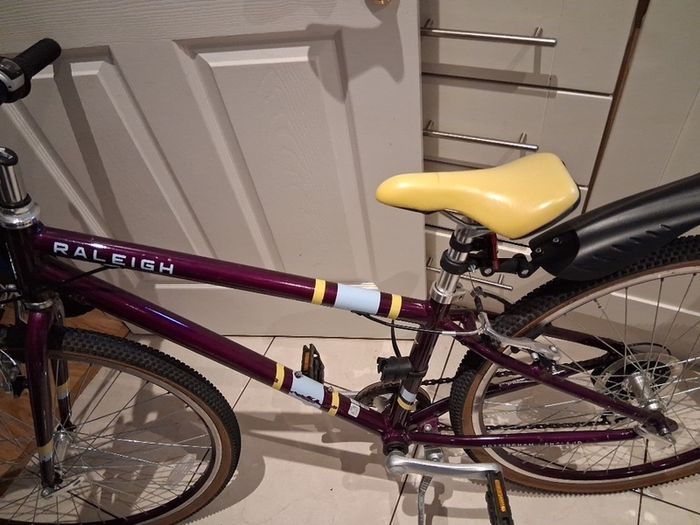 Older Girls Raleigh bike 26"