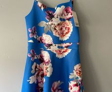 Lipsy occasion dress BNWT