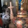 Huge Vintage, Prop Clearance Lusk From 15euro Image 7