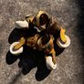 Brass Cap furniture castors with porcelain wheels (4) Image 4