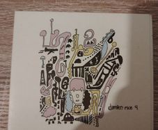 Damien Rice (9)