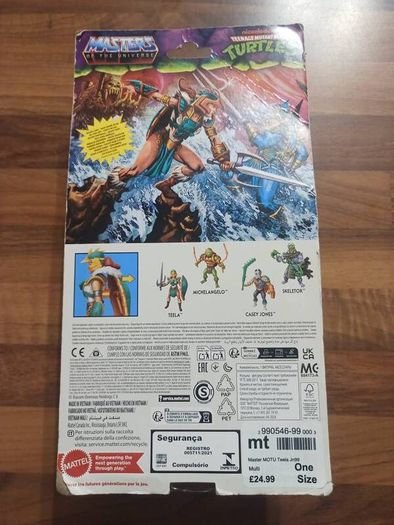 turtles/he man teela crossover