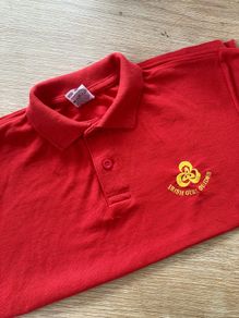 ladybird / irish girl guides uniform