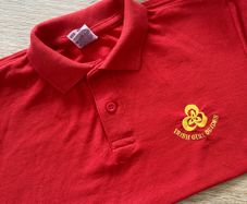 ladybird / irish girl guides uniform