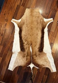 Springbok Hide