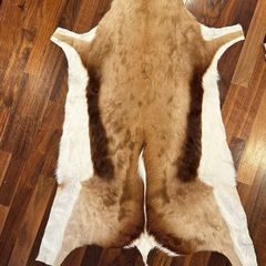 Springbok Hide