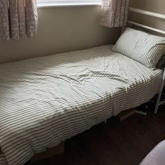Free single bed & mattress